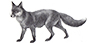 Sometimes a Fox