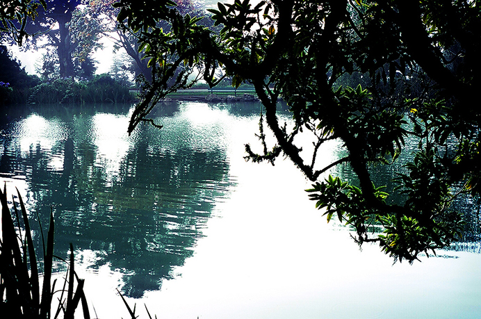 Stowe Lake SF