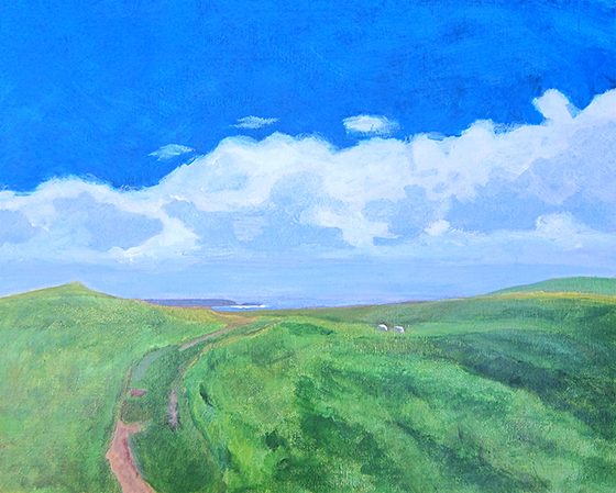 Cape St. Mary's
