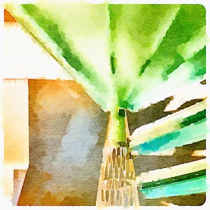 LAKF-waterlogue-j